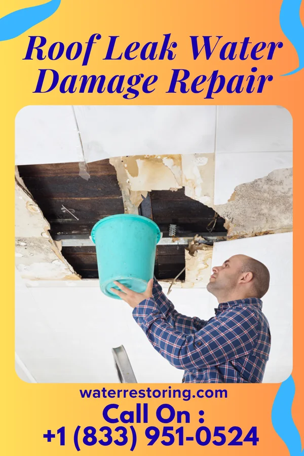 Roof Leak Water Damage Repair in Myrtle Grove, FL